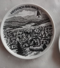 Souvenir Teller, Viechtach, Bay. Wald, 10 cm Durchmesser, schwarz - weiß