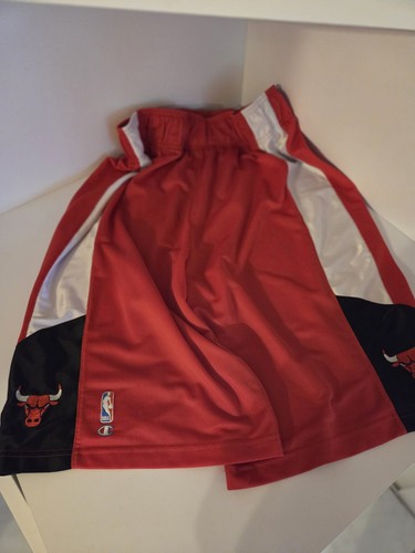 Nba chicago bulls - chicago,