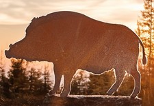 Beetstecker Wildschwein in