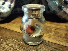 Miniatur Flasche Malediven Mit Sand Und Muscheln