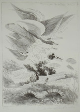 ANTON LEHMDEN Vögel über