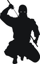 Nin1  Ninja  Aufkleber
