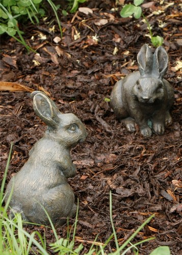 Aktionspreis kleine feldhasen - kleine,