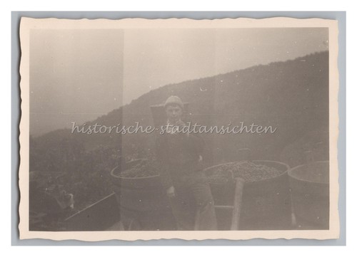 Schwaigern 1964 weinlese - schwaigern,