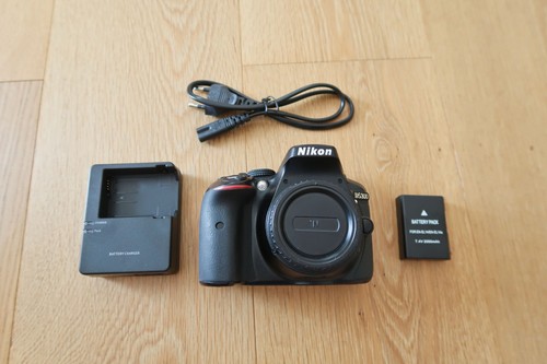Nikon d5300 mp - 24.2,