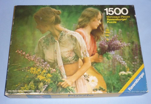 Ravensburger 1500 david - ravensburger,
