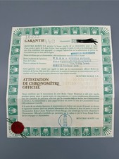 Rolex Datejust 16233