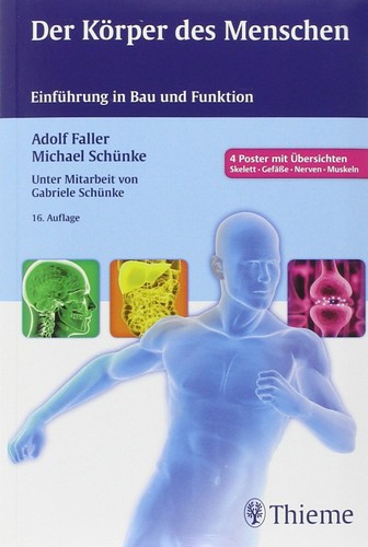 Der körper des - körper, menschen