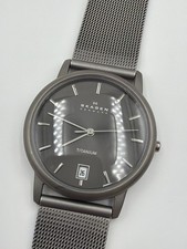 Skagen Denmark Titanium