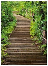 Wallario Duschmatte Bad Teppich Vorleger Steintreppe Wald stein  wald berg hoch