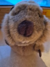 Steiff Käfer „Cosy Biber“ Neu ohne Etikett, ca. 18 cm