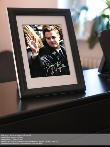 Repro autogramm leonardo - repro-autogramm,
