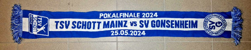 Tsv schott mainz sv - mainz,