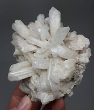 Danburit - Charcas, San Luis Potosi, Mexiko