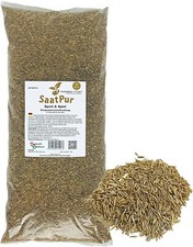 1kg Sport Rasensamen