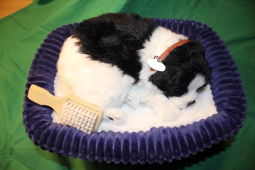 Perfect petzzz 96125 border - 96125,