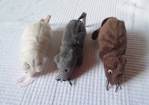 Ikea maus gosig - ikea,