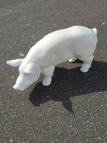 Schwein weiß grundiert - schwein,