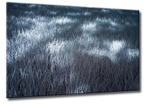 Leinwand bild - leinwand,