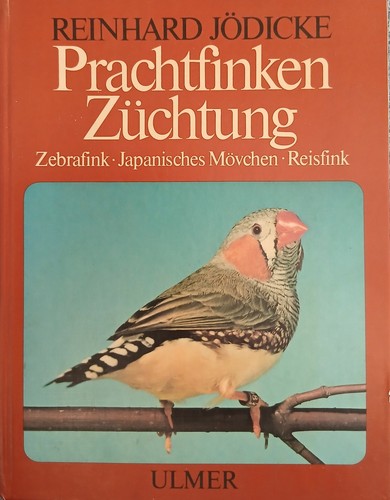 Prachtfinken züchtung von - prachtfinken,