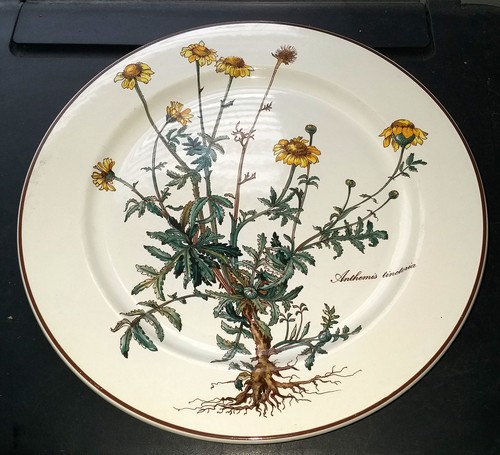 Villeroy boch botanica - &,
