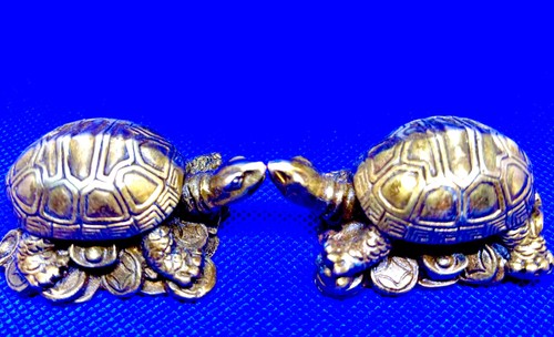 Schildkröte aus kupfer feng - aus,