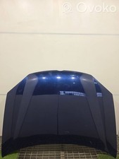 Motorhaube Volkswagen Golf V