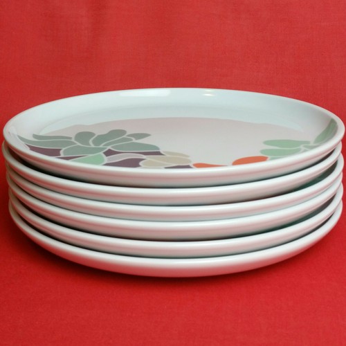 Arzberg profi serena - 6x,