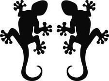 Auto aufkleber gecko - aufkleber,