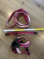 Wolters Set - Halsband Leine Geschirr Set, Professional comfort