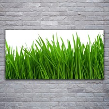 Acrylglasbilder Wandbilder