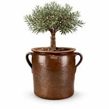 Alter Steinzeug Topf Ø20 H22