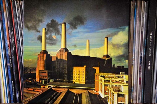 Pink floyd animals album - pink,