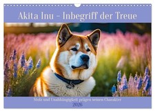 Akita Inu - Inbegriff der Treue (Wandkalender 2026 DIN A3 quer), CALVENDO Monats