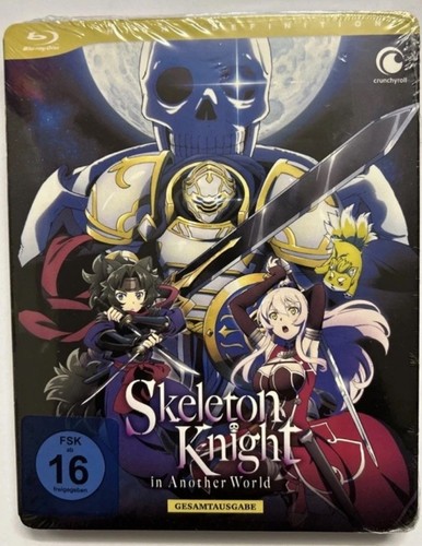 Skeleton knight another - skeleton, in