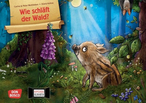 Wie schläft der wald - der,