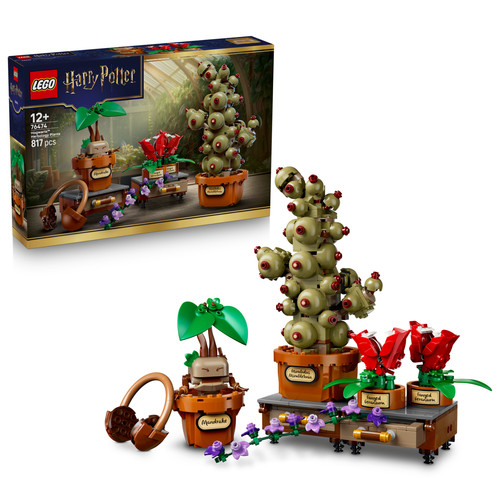 Lego harry potter 76474 - harry, potter™