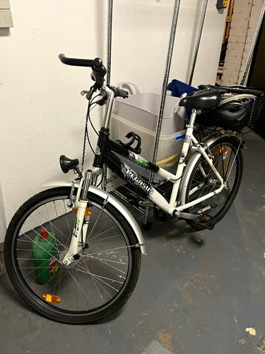 Pegasus trekkingrad - pegasus,