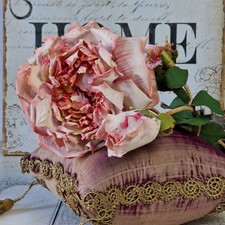 Große alte Rosenblüte mit 2