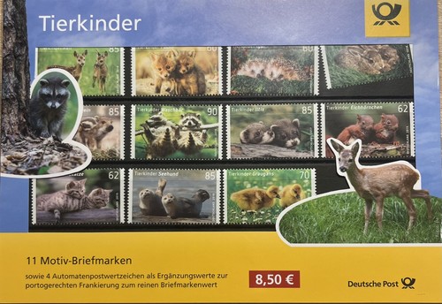 Tierkinder igel fuchs - tierkinder,