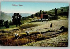 38184403 - Metzeral Sillacker