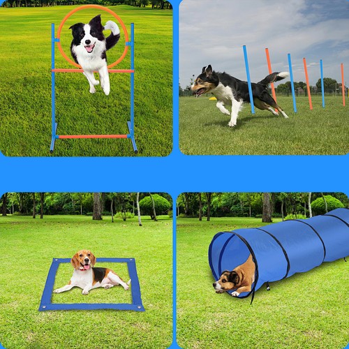 Agility set hundetraining - agility-set,