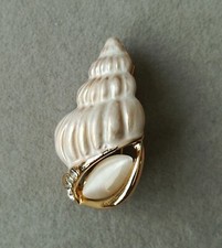 Muschel Brosche Gold Glitzer Weiß Maritim Meer Wellen Sand Strand Shell Schmuck