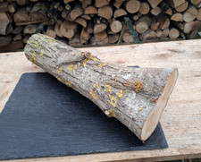 DEKO Basteln Baumstamm Holz