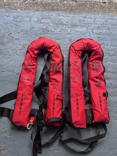 Ocean safety marine falcon - ocean,