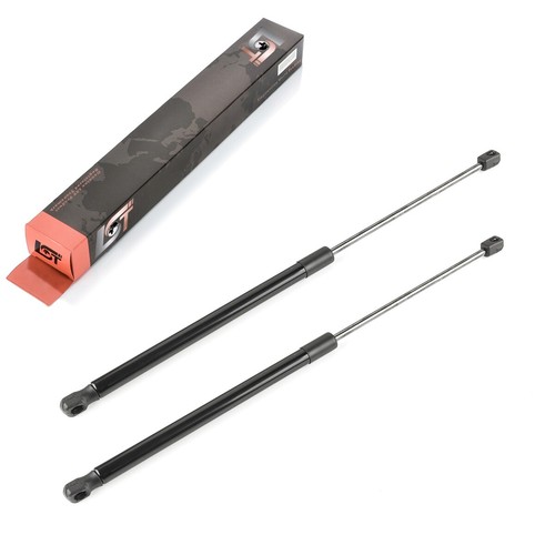 Gasfeder - 2x,