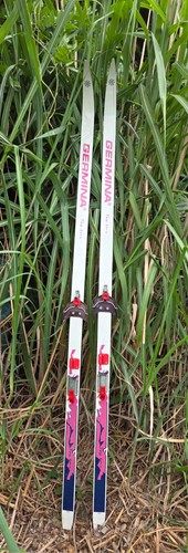 Ski ohne stöcke - (langlauf),
