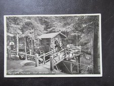 Hohwald heilstätte mühle - heilstätte,