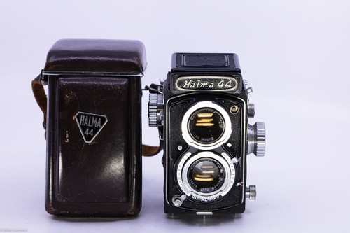 Halma film 127 - 127, tlr