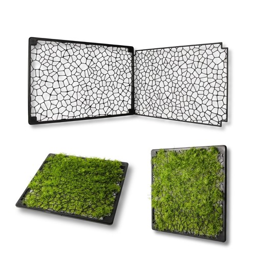 Mooswand 33 cm - xl,